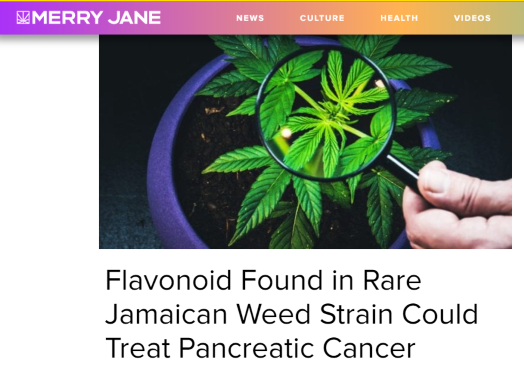Feature Image for Debunking Merry Jane Flavonoid Article