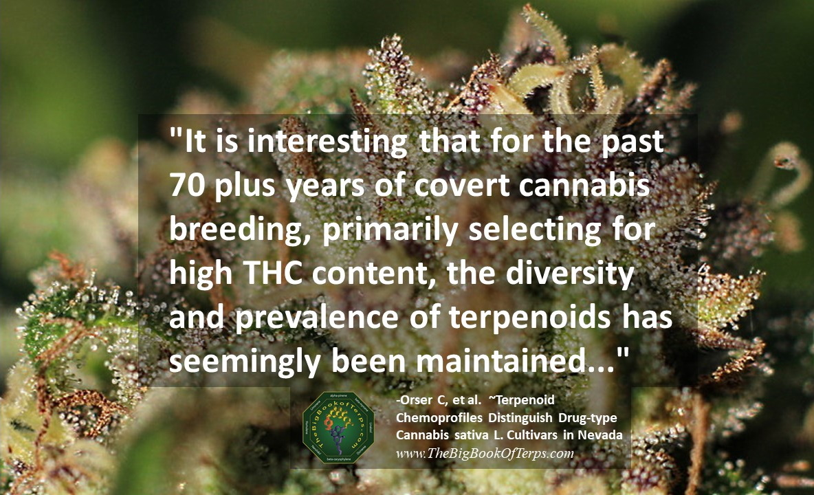 Orser Et al quote about maintaining terpenic diversity