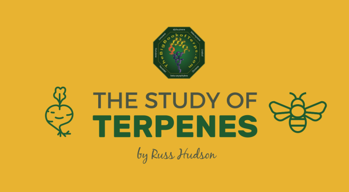 Feature Image for The Big Meme of Terpenes post