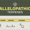 Feature image for allelopathic terpenes and terpenoids